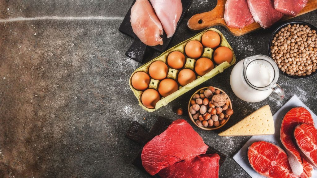 How Much Protein Can You Absorb in One Meal?